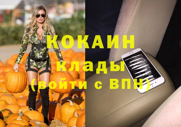 ГАЛЛЮЦИНОГЕННЫЕ ГРИБЫ Новодвинск