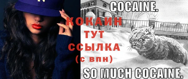гашиш Новозыбков