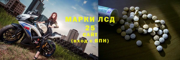 ГАЛЛЮЦИНОГЕННЫЕ ГРИБЫ Новодвинск