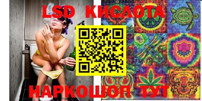 Альфа ПВП Заволжье