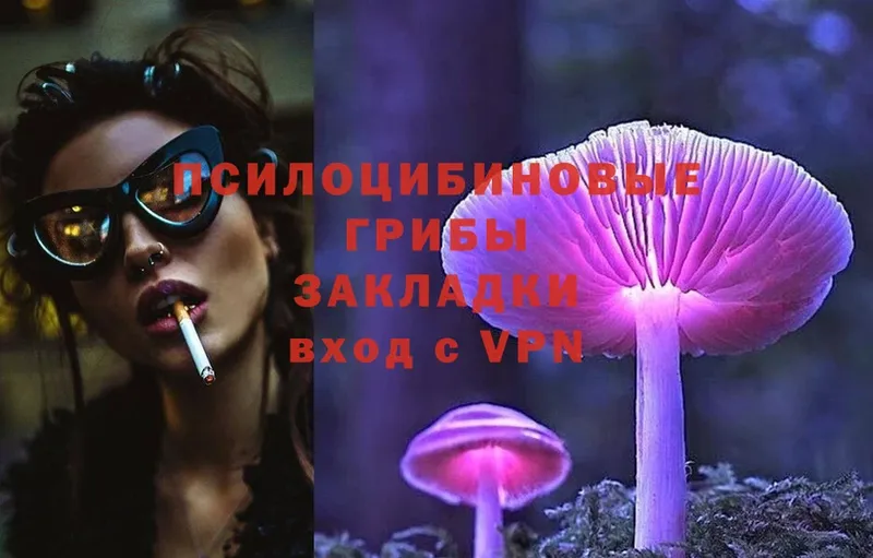 Псилоцибиновые грибы MAGIC MUSHROOMS  где купить наркоту  Татарск 