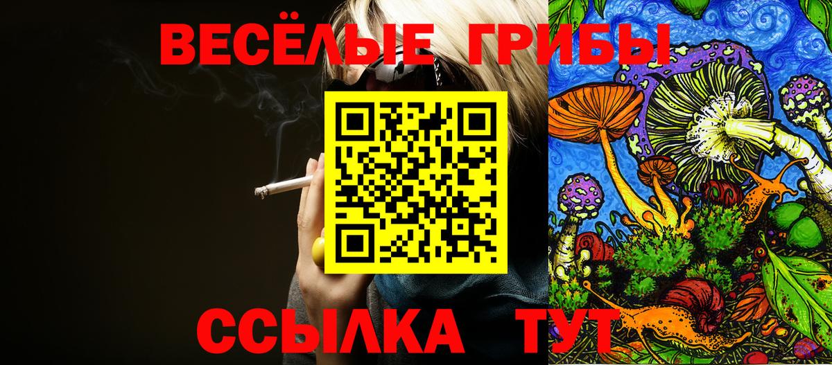 Псилоцибиновые грибы Psilocybine cubensis Татарск