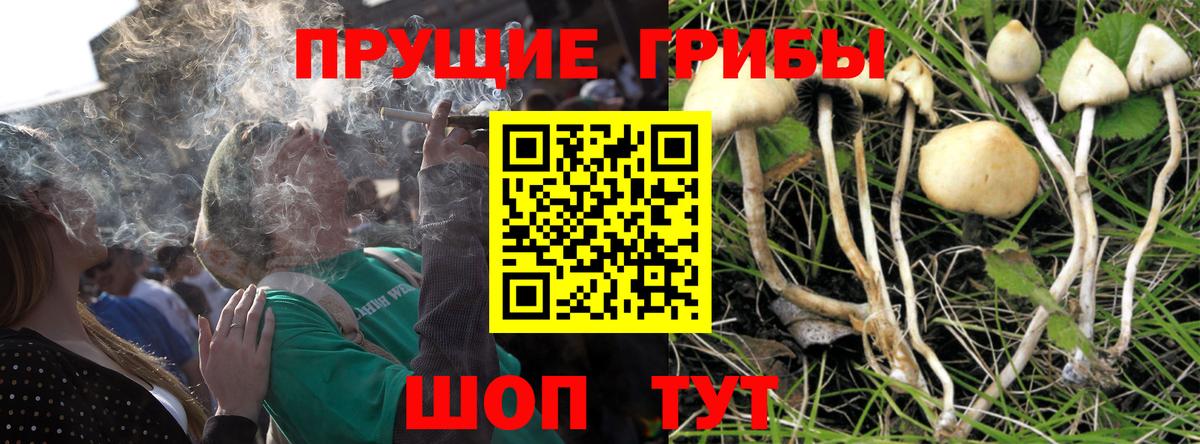 ГАШИШ  КОКАИН  Меф МЯУ МЯУ   Метамфетамин  А ПВП СК   Татарск  Где купить  Каннабис 