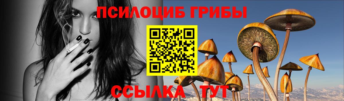 Татарск  купить закладку  Вход с VPN  Псилоцибиновые грибы GOLDEN TEACHER 