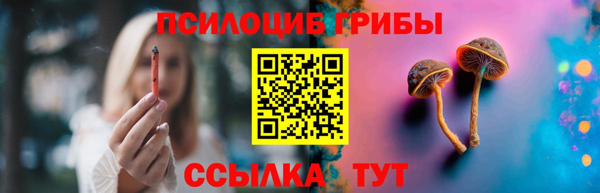 Псилоцибиновые грибы прущие грибы Татарск